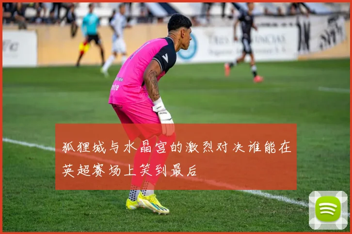 狐狸城与水晶宫的激烈对决谁能在英超赛场上笑到最后