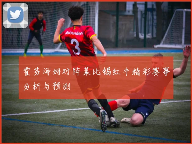 霍芬海姆对阵莱比锡红牛精彩赛事分析与预测