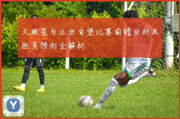 天狼星与法尔肯堡比赛前瞻分析及胜负预测全解析